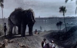 Discovering Maharashtra: A Realm of Marvels